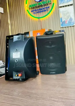 Indoor and Outdoor Speaker With Woofer
