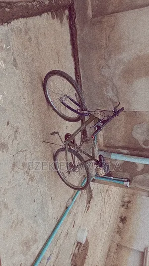 Bicycle Belgium Standard