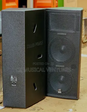 Sound Prince Sp134 Pro Acoustic Double Loudspeaker Pair