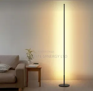 Standing Light