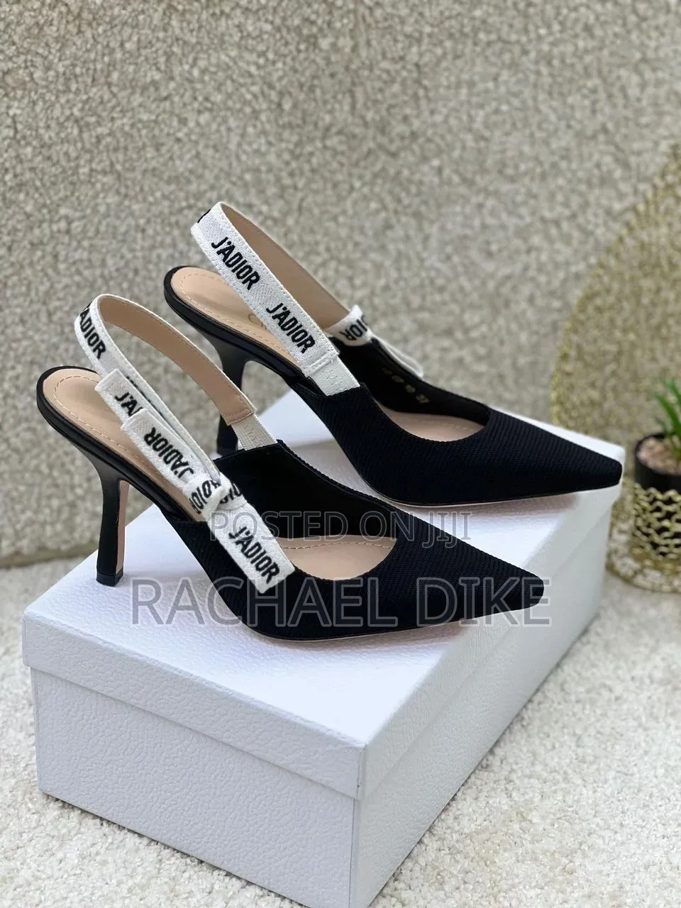 Luxury Dior Heel