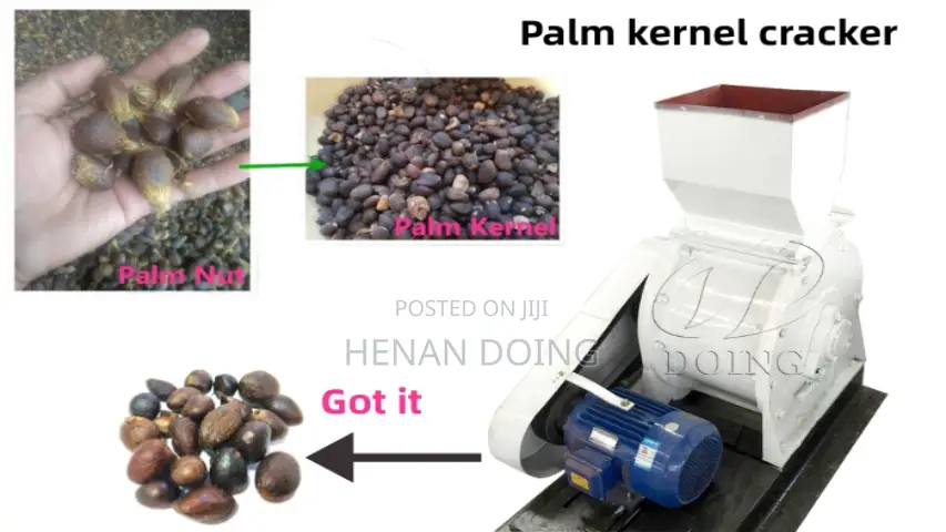 Palm Nut Cracker / Kernel Sheller Machine