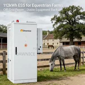 Dawnice 112kwh Commercial Energy Storage Cabinet for Peak Shaving