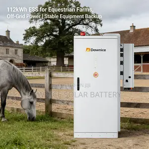 Dawnice Loong Power 112kwh Lifepo4 Commercial Backup Power System