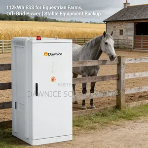 Dawnice 112kwh Industrial Ess With 8000 Cycles Plug-and-Play Design