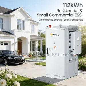 Dawnice Loong Power 112kwh Distributed Energy Storage for Factories