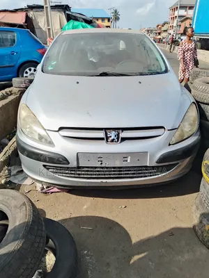 Peugeot 307 1.6 Break Grand Filou 2005 Silver