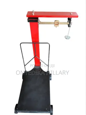 Motoking Scale