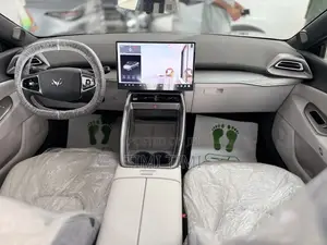 New Arcfox alphaS5 530hp AWD 2025 Gray