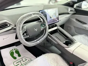 New Arcfox alphaS5 530hp AWD 2025 Gray