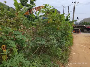 Buy And Build Land For Sell In Omagwa