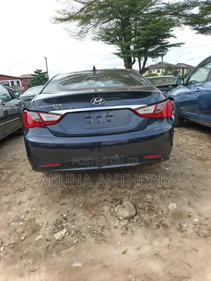 Hyundai Sonata 2011 Blue
