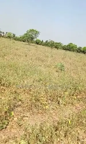 Land Sales