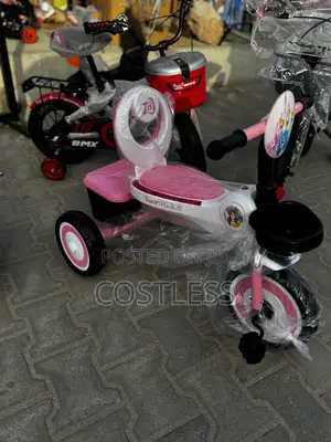 Princess Children's Tricycle
