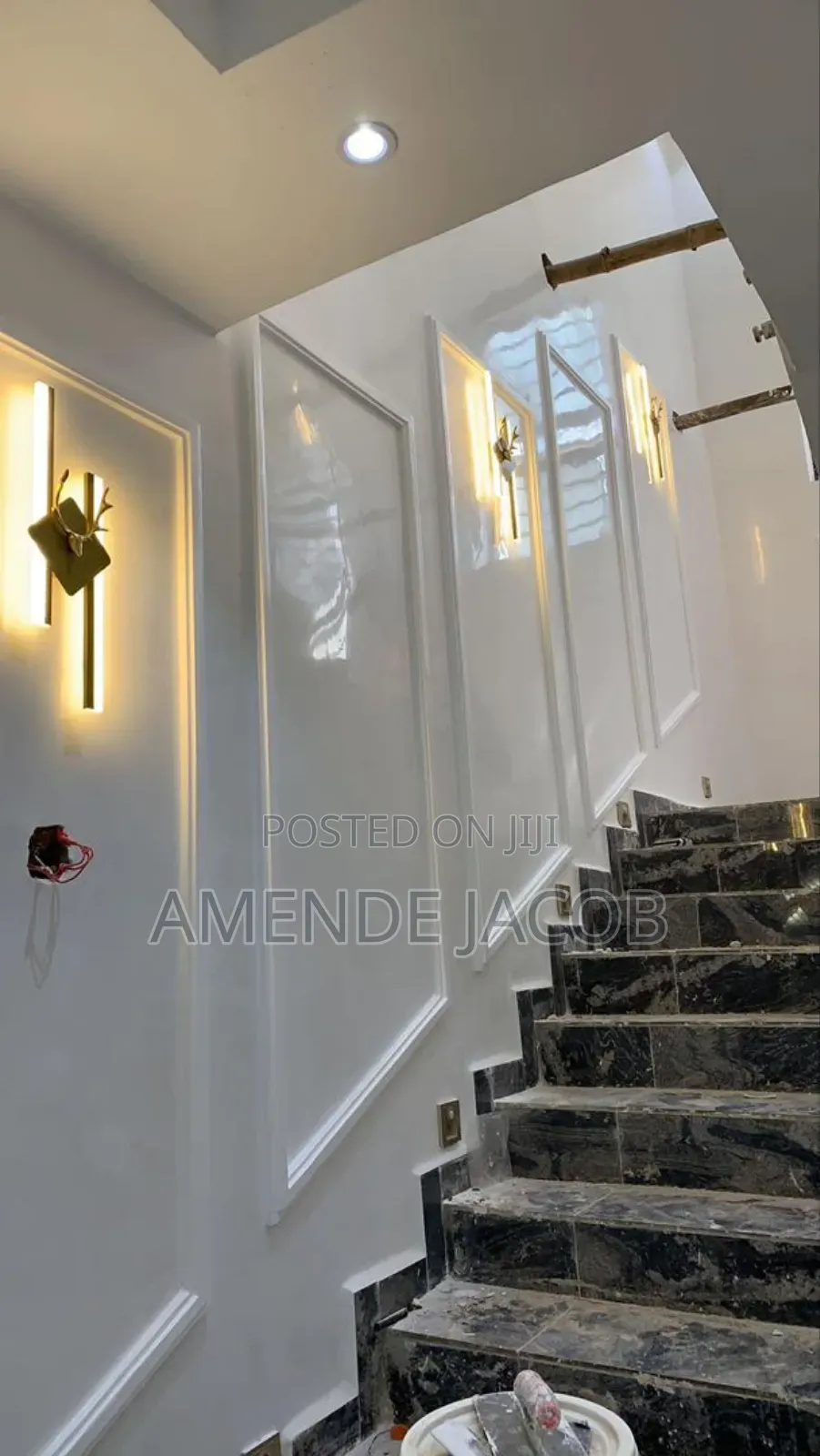 A Professional Painter