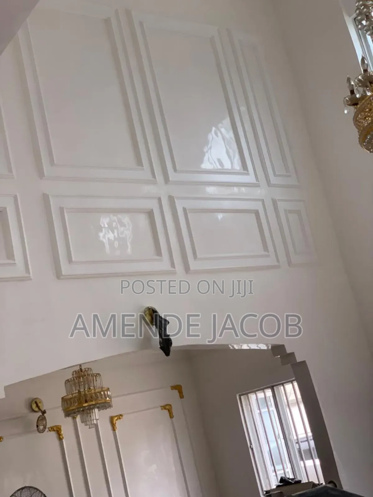 A Professional Painter