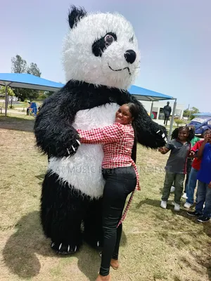 Panda Costumes for Rent/Hire