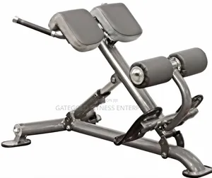 Back Extension/Roman Chair/45 Degree Hyper Exten Im007c
