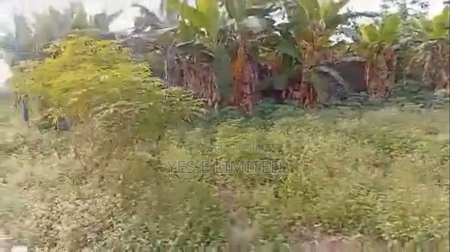 1 Plot of Land for Sale