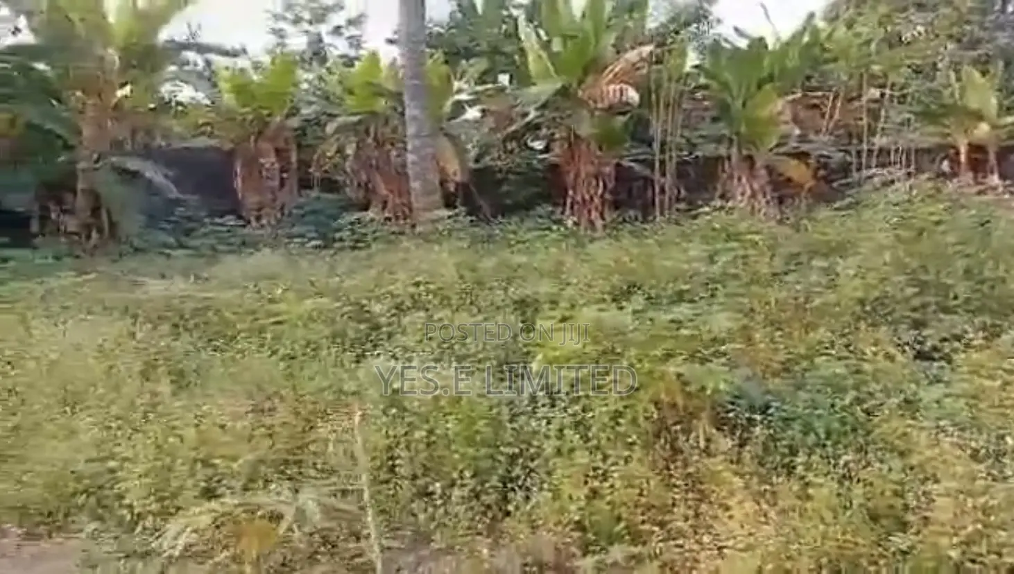 1 Plot of Land for Sale