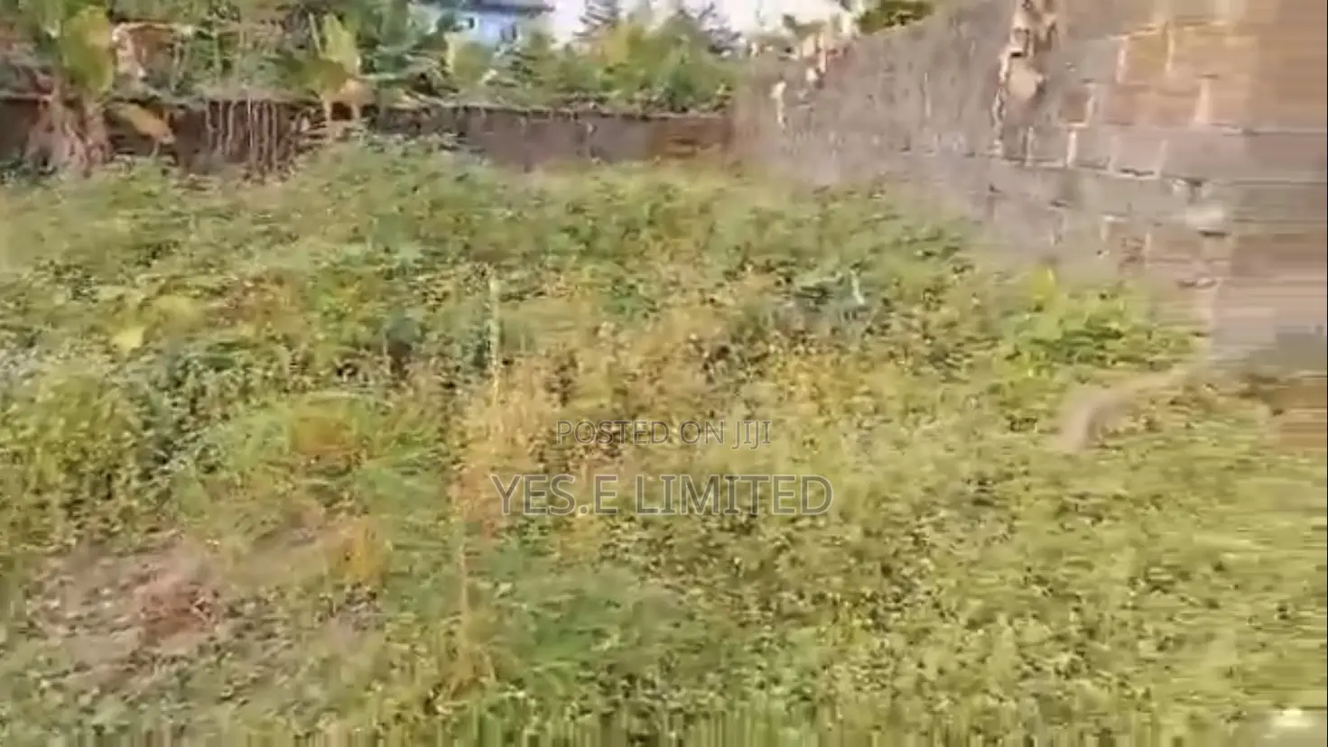1 Plot of Land for Sale