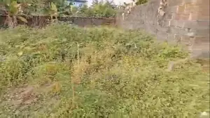 1 Plot of Land for Sale