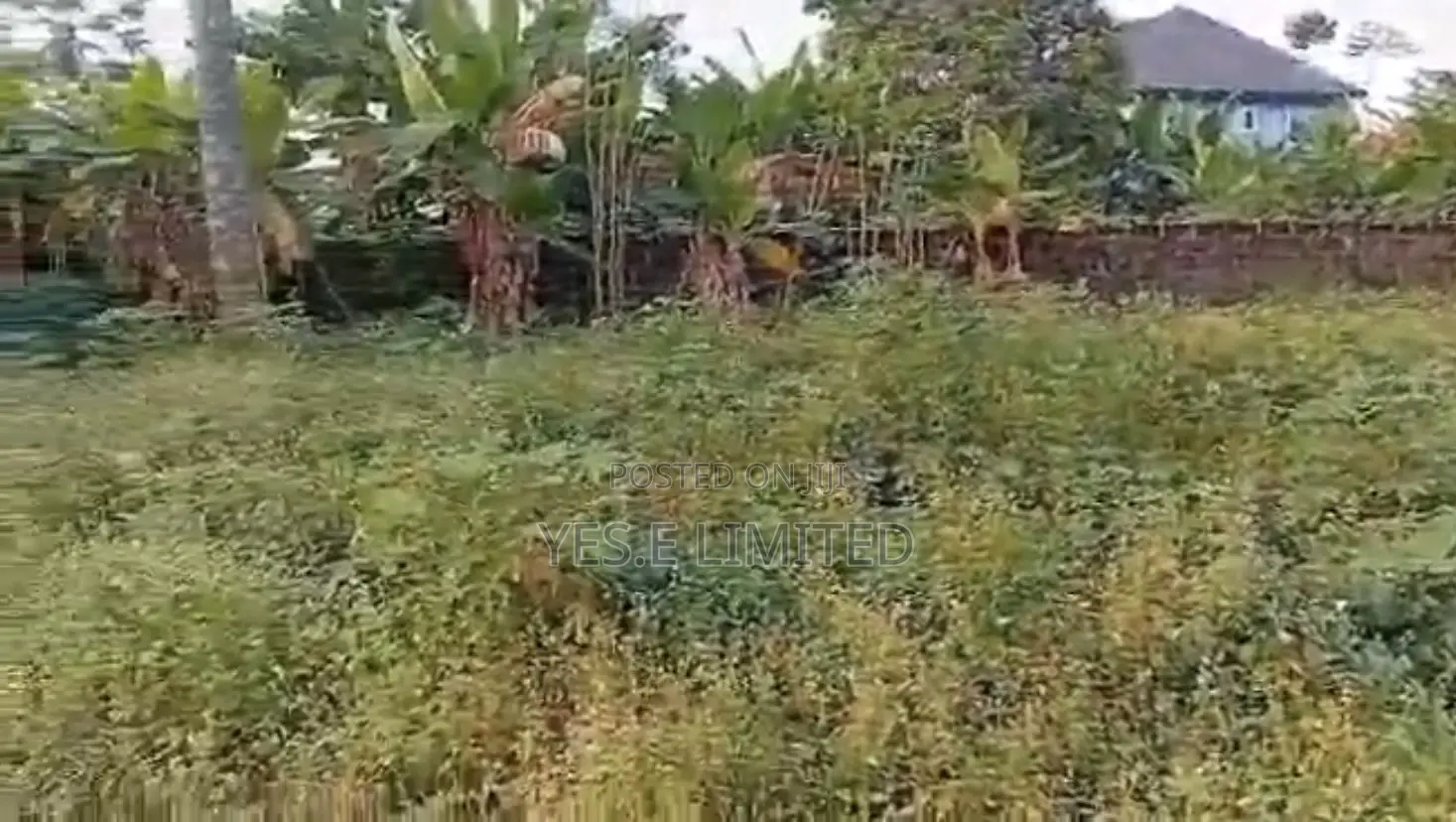 1 Plot of Land for Sale