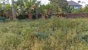 1 Plot of Land for Sale
