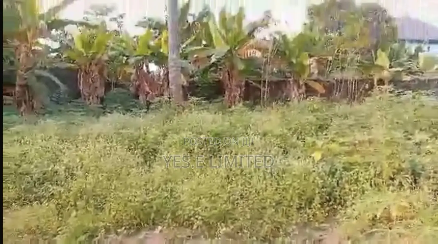 1 Plot of Land for Sale