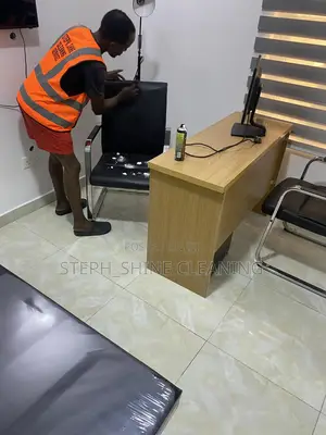 Furniture and Window Cleaning