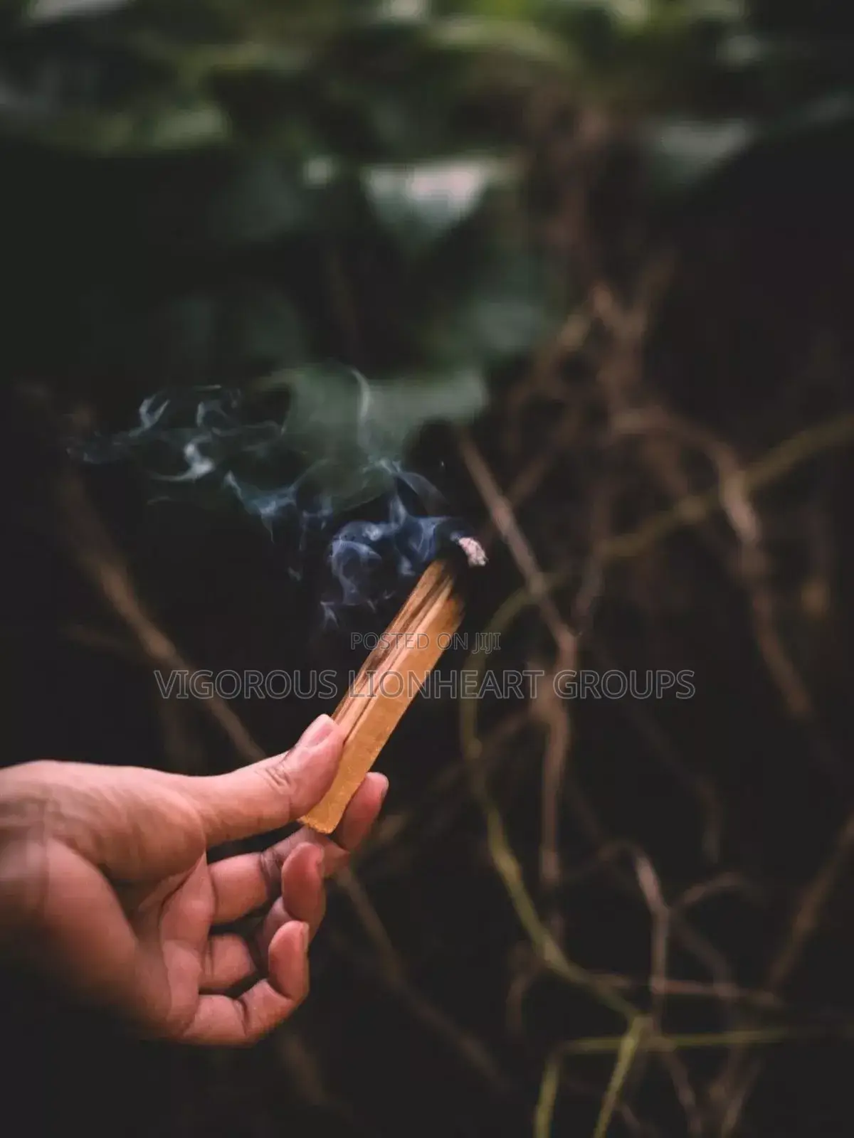 Palo Santo