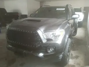 Toyota Tacoma 2021 Gray