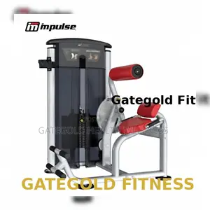 It9532 Heavy Duty Commercial Advanced Back Extension