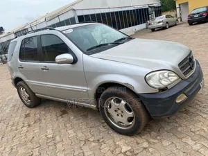 Mercedes-Benz M Class 2003 Silver
