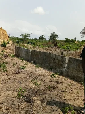Mixed Used Land in Ogun State