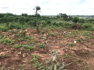 1⁄2 Plot of Land for Sale Call/Whatsapp