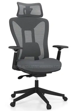 Advanced Fully-adjustable Mesh Task Chair