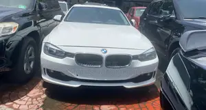BMW 320i Sedan RWD 2014 White