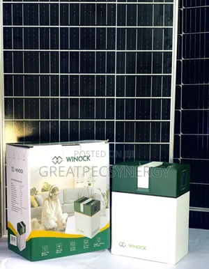 Winock Generator With 320 Solar Panels