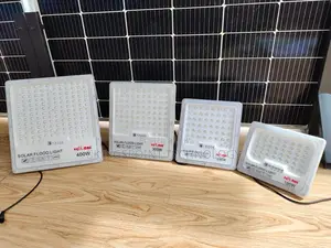 Solar Light