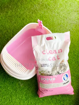 Liter Box and Liter Sand