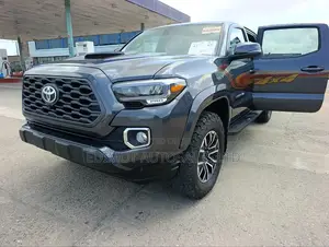 Toyota Tacoma TRD Off Road V6 4x4 Double Cab 127.4 in. WB 2020 Gray