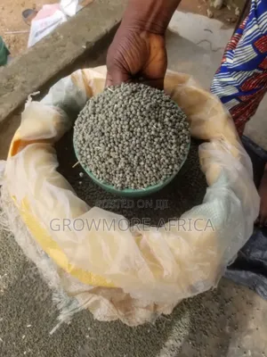 40 Days Local Okra Seeds