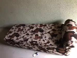 Sofa Furniture