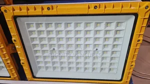 Flood Light