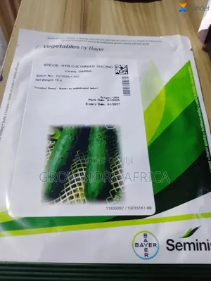 Darina Cucumber 10g