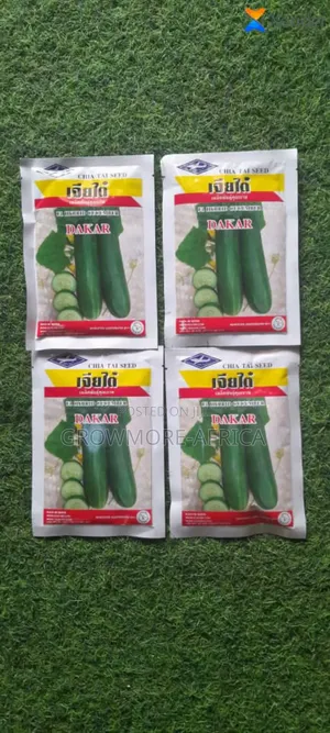 Dakar Cucumber 50g