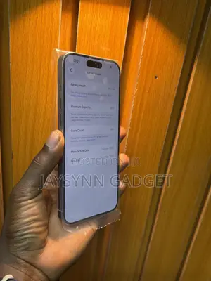 Apple iPhone 15 Pro Max 256 GB Silver