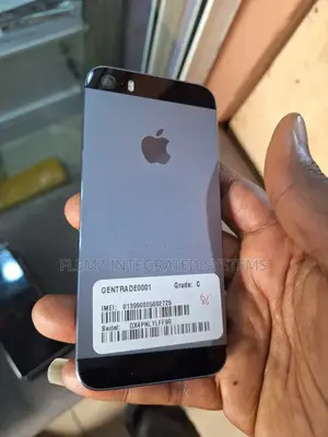 Apple iPhone 5s 16 GB Gray