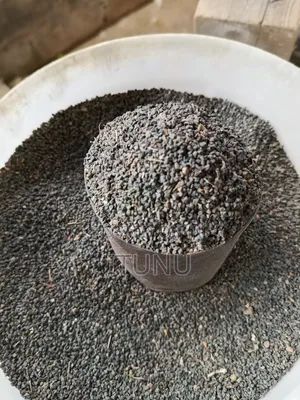 Jute Vegetable Seeds (Ewedu) 1 Tin Cup